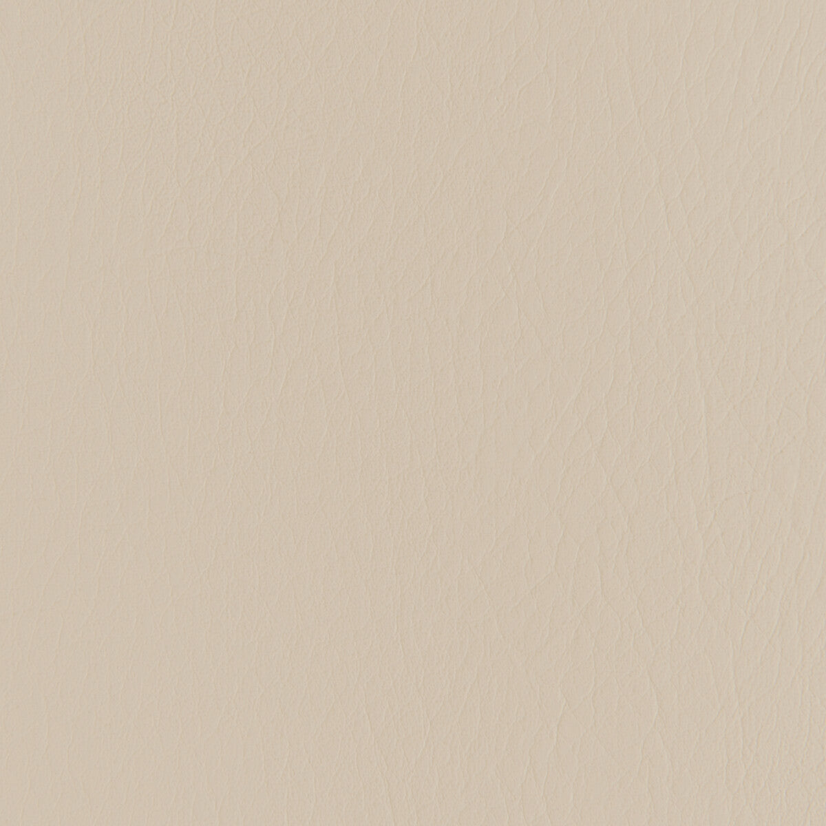 Forza fabric in au lait color - pattern number FORZA.1116.0 - by Kravet Contract in the Extreme Performance II collection