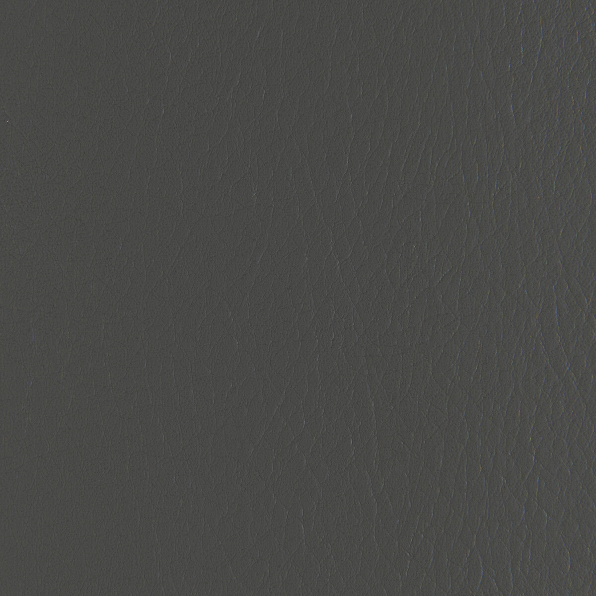 Forza fabric in thunder color - pattern number FORZA.1121.0 - by Kravet Contract in the Extreme Performance II collection