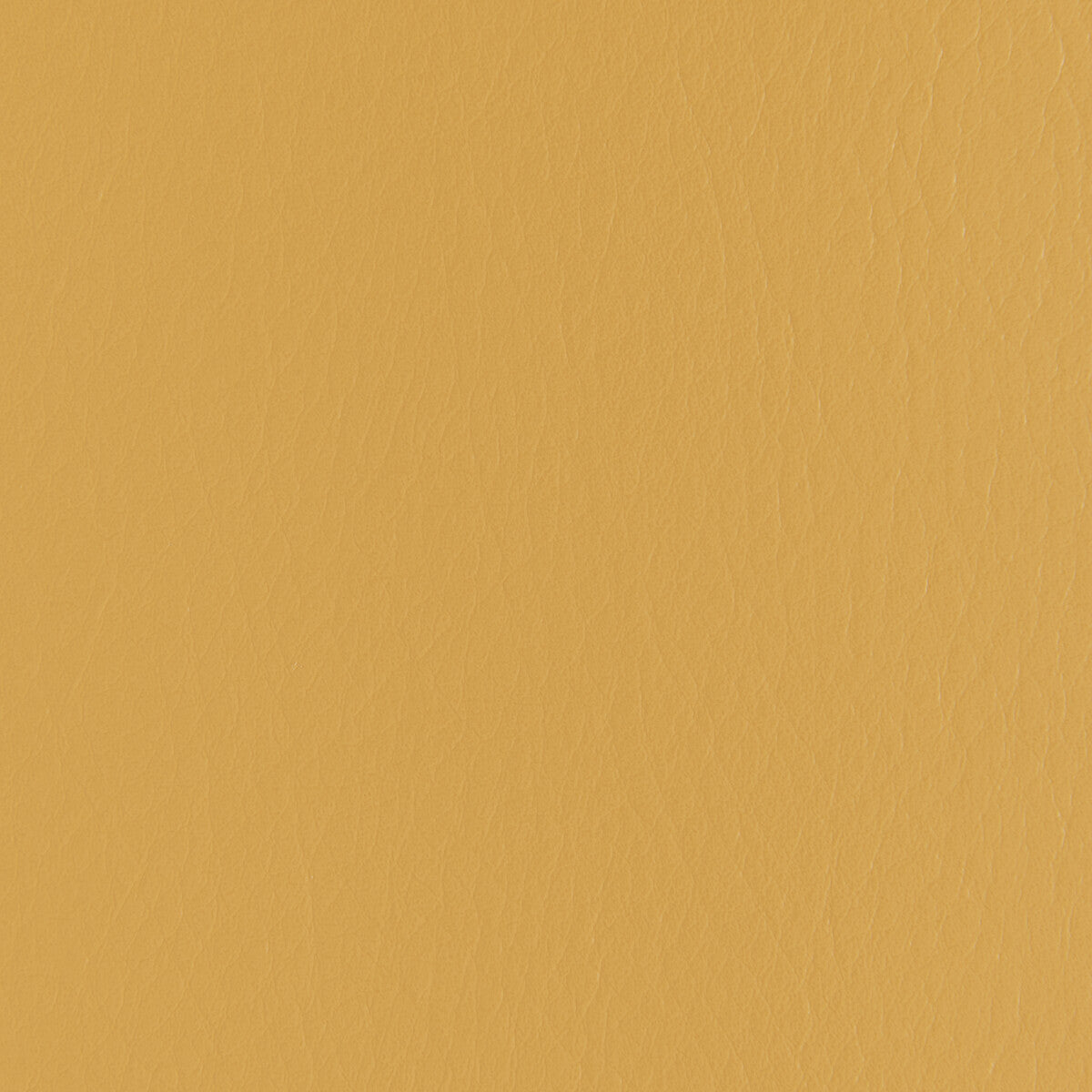 Forza fabric in squash color - pattern number FORZA.12.0 - by Kravet Contract in the Extreme Performance II collection