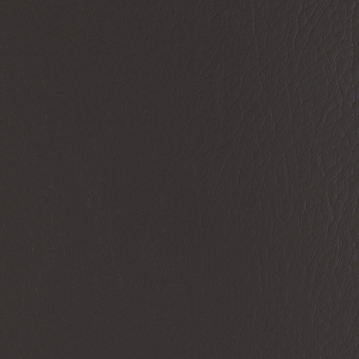 Forza fabric in stallion color - pattern number FORZA.2121.0 - by Kravet Contract in the Extreme Performance II collection