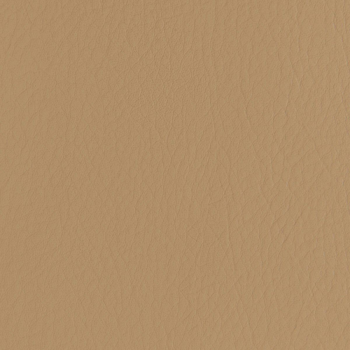 Forza fabric in caramel color - pattern number FORZA.6116.0 - by Kravet Contract in the Extreme Performance II collection