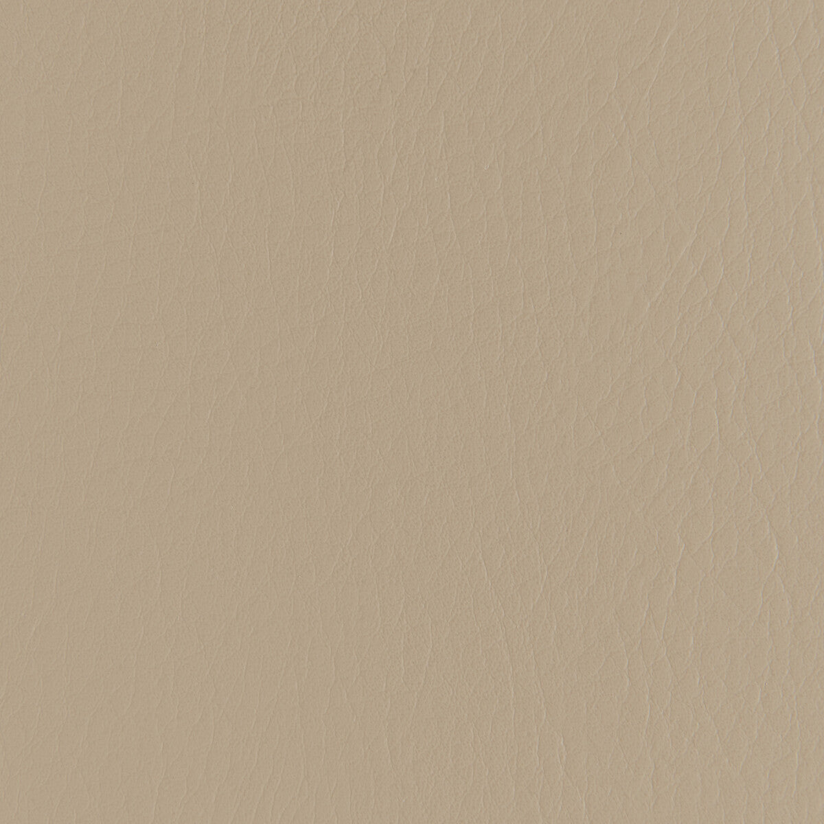 Forza fabric in fieldstone color - pattern number FORZA.611.0 - by Kravet Contract in the Extreme Performance II collection