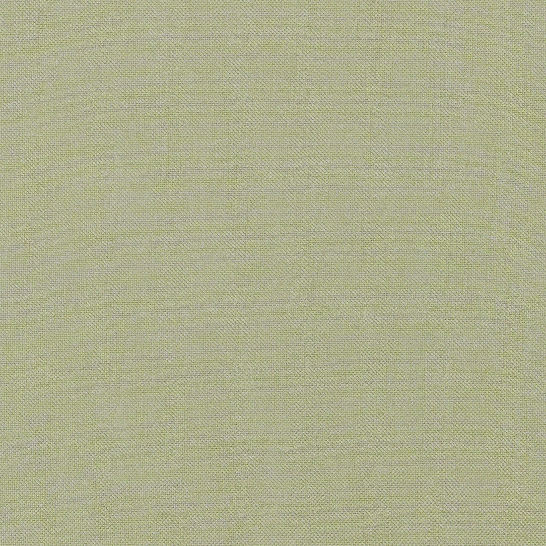 Palisade Linen fabric in moss color - pattern number FWW7655 - by Thibaut in the Palisades collection