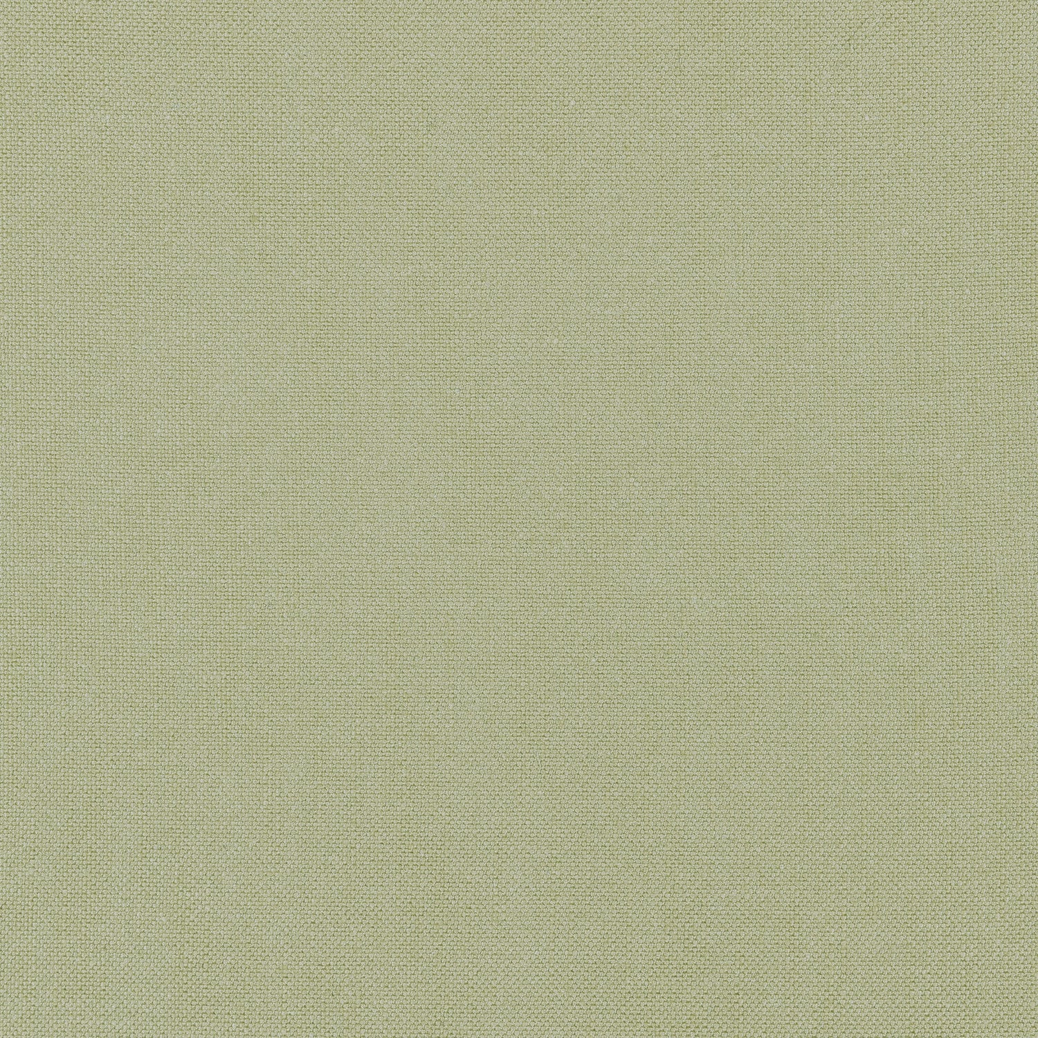 Palisade Linen fabric in moss color - pattern number FWW7655 - by Thibaut in the Palisades collection