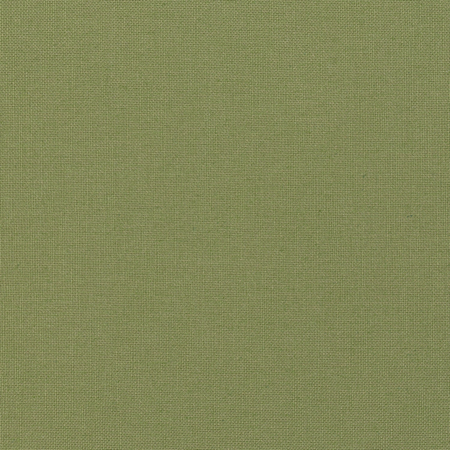 Palisade Linen fabric in olive color - pattern number FWW7657 - by Thibaut in the Palisades collection