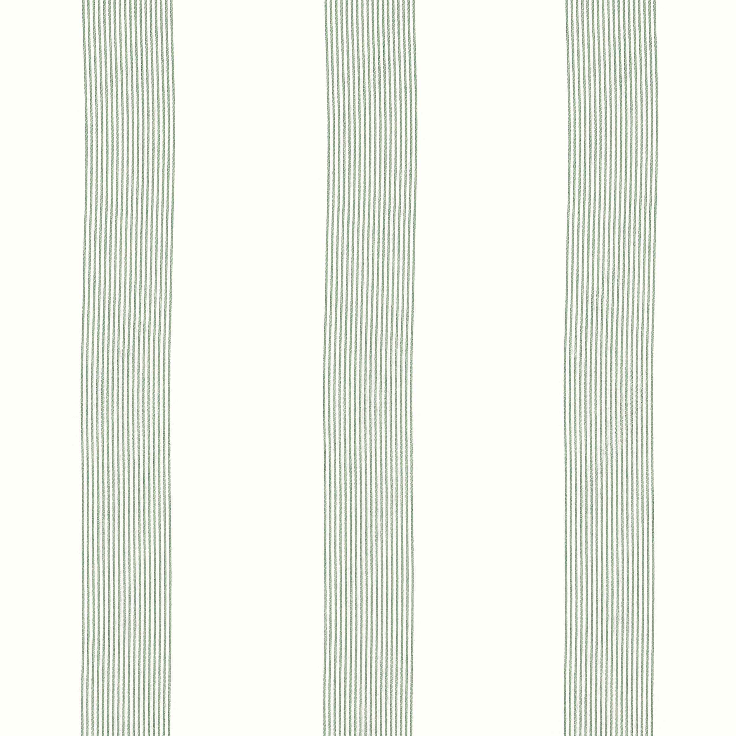 Sabine fabric in stripe aloe color - pattern number FWW81735 - by Thibaut in the Locale Wide Width collection