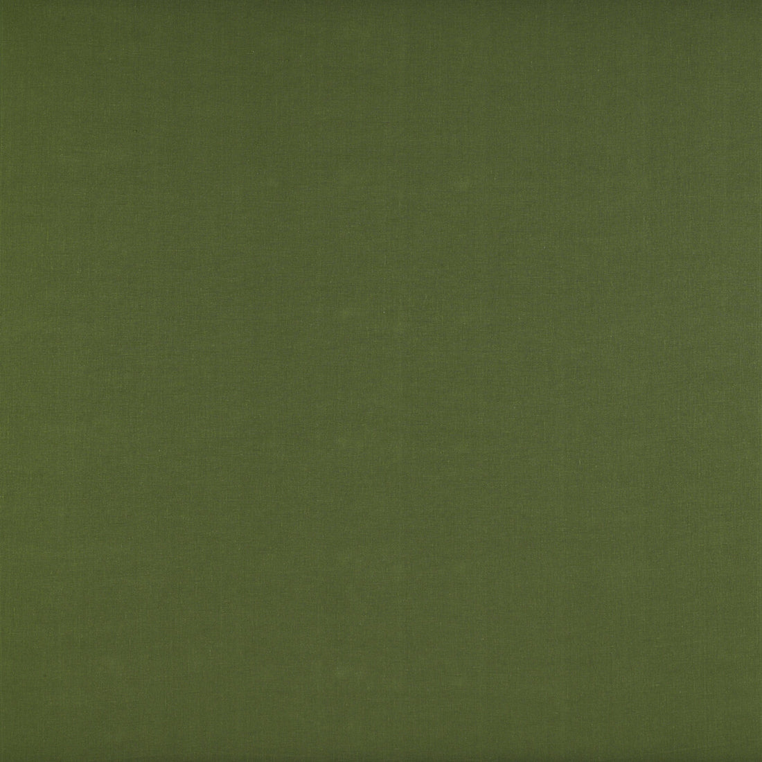 Recoletos fabric in verde color - pattern GDT5203.022.0 - by Gaston y Daniela in the Madrid collection