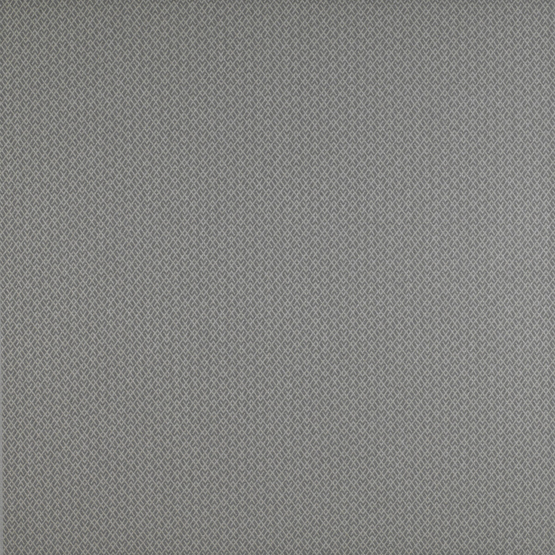 Chueca fabric in gris color - pattern GDT5205.003.0 - by Gaston y Daniela in the Madrid collection