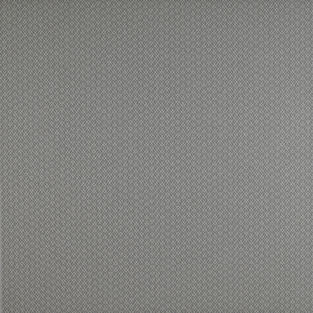 Chueca fabric in gris color - pattern GDT5205.003.0 - by Gaston y Daniela in the Madrid collection