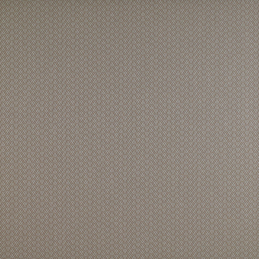 Chueca fabric in beige color - pattern GDT5205.005.0 - by Gaston y Daniela in the Madrid collection