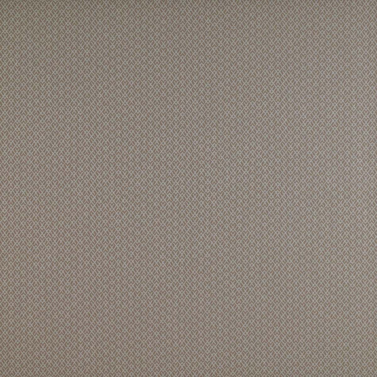 Chueca fabric in beige color - pattern GDT5205.005.0 - by Gaston y Daniela in the Madrid collection