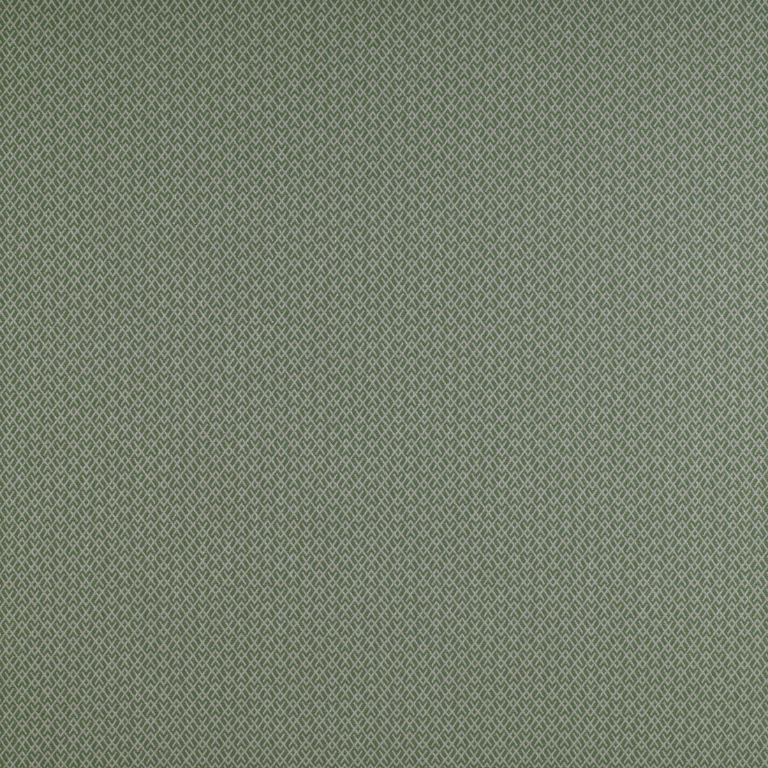 Chueca fabric in verde color - pattern GDT5205.014.0 - by Gaston y Daniela in the Madrid collection