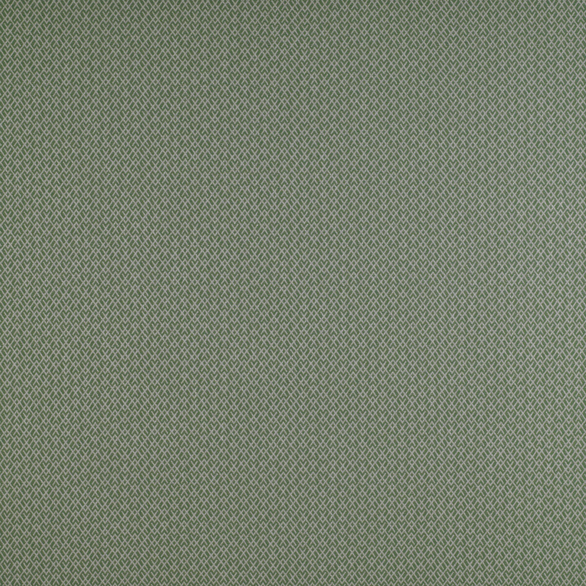 Chueca fabric in verde color - pattern GDT5205.014.0 - by Gaston y Daniela in the Madrid collection