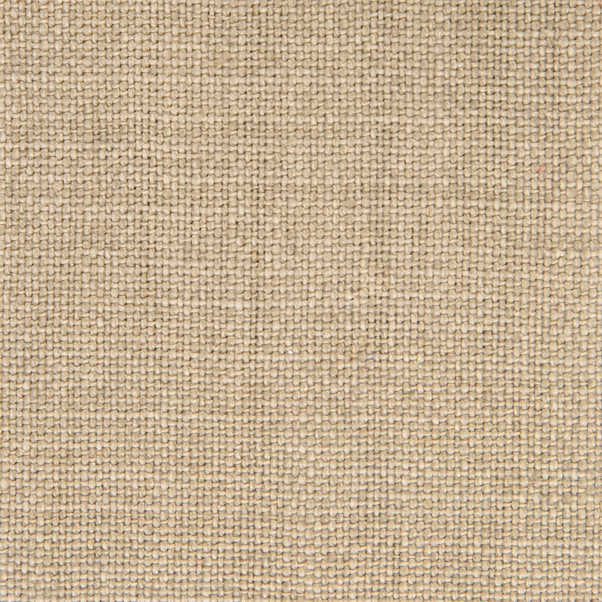 Nicaragua fabric in vison color - pattern GDT5239.002.0 - by Gaston y Daniela in the Basics collection