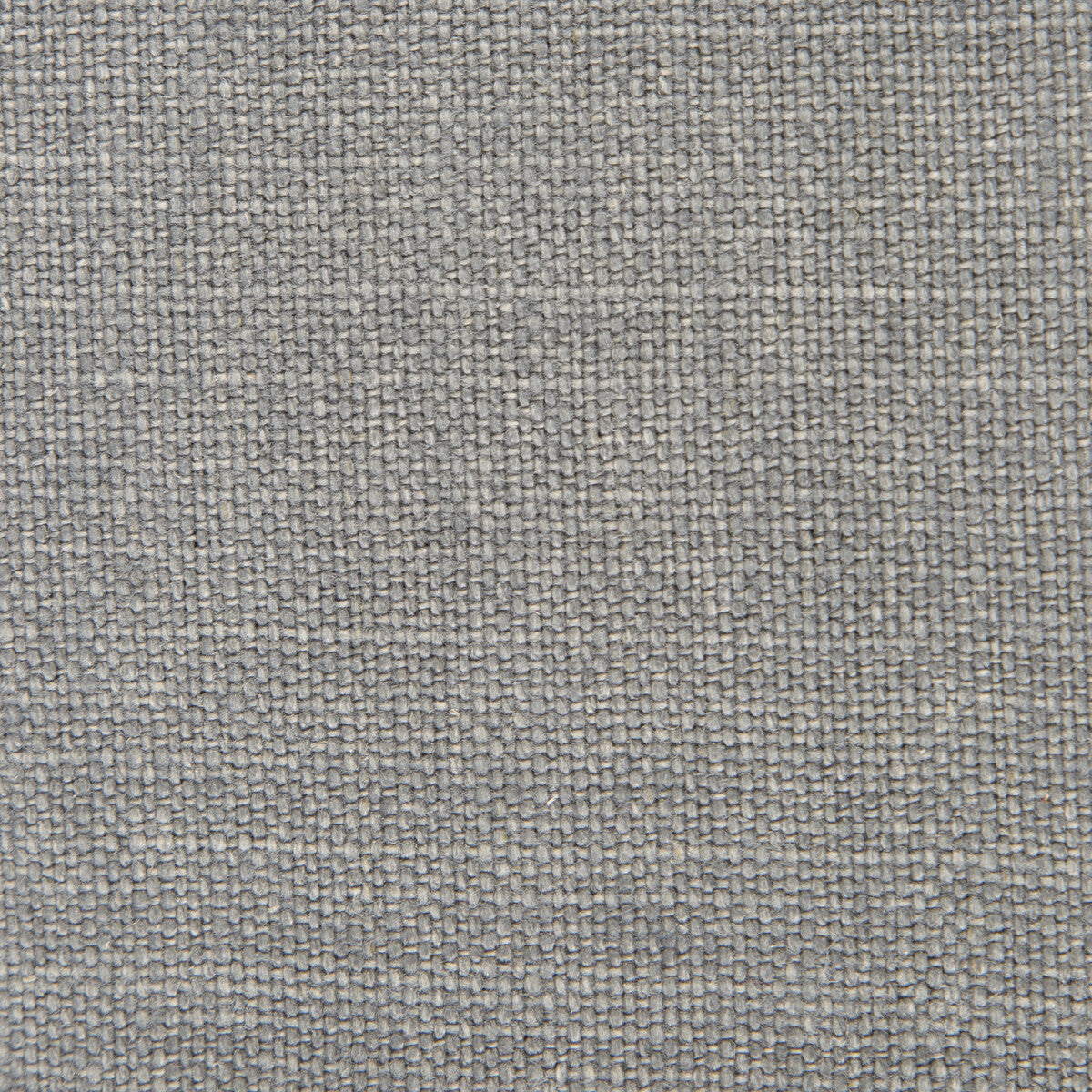 Nicaragua fabric in gris color - pattern GDT5239.017.0 - by Gaston y Daniela in the Basics collection