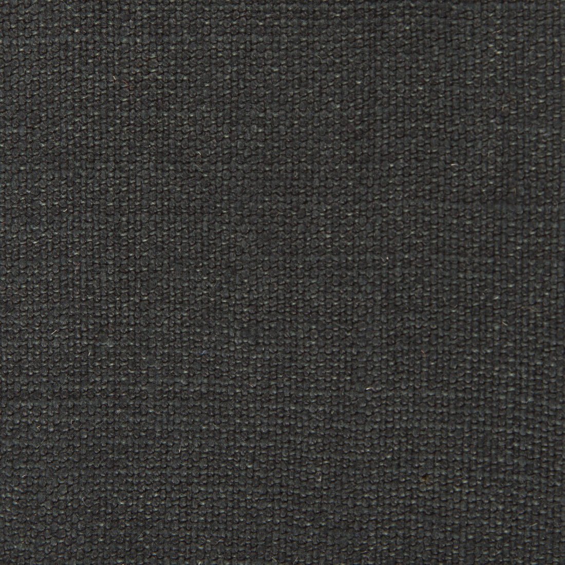 Nicaragua fabric in onyx color - pattern GDT5239.018.0 - by Gaston y Daniela in the Basics collection