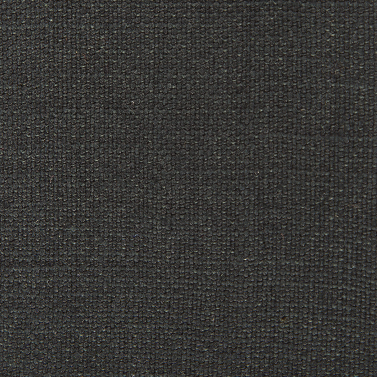 Nicaragua fabric in onyx color - pattern GDT5239.018.0 - by Gaston y Daniela in the Basics collection