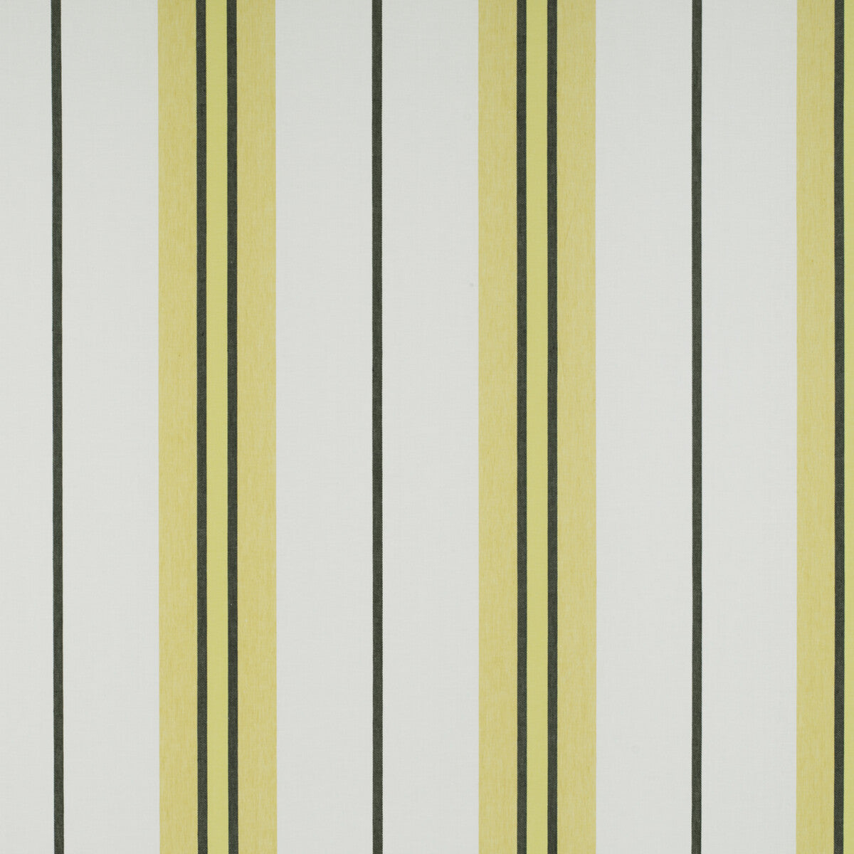 Burano fabric in onyx/amarillo color - pattern GDT5310.001.0 - by Gaston y Daniela in the Tierras collection