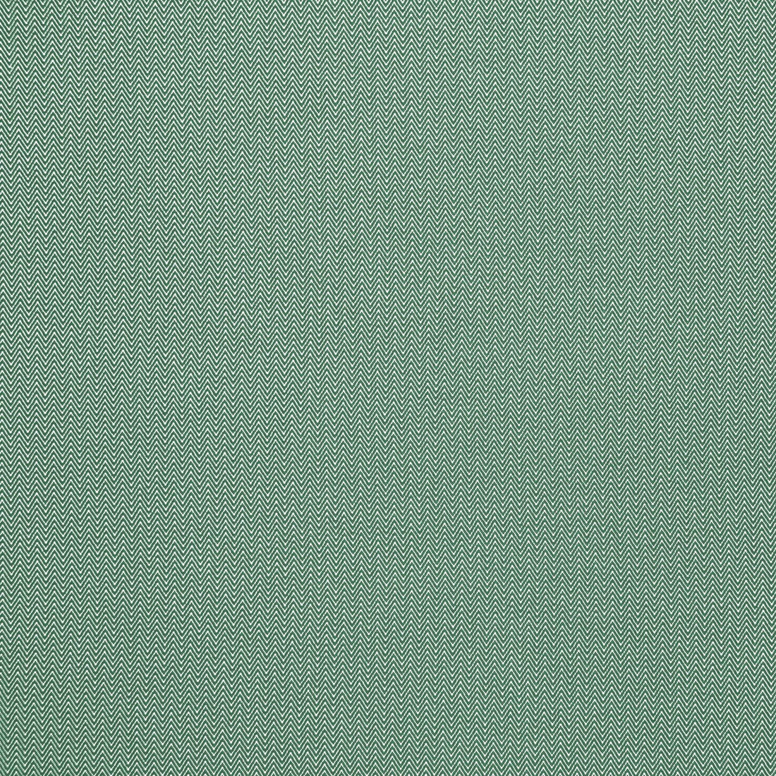 Donald fabric in verde color - pattern GDT5384.8.0 - by Gaston y Daniela in the Gaston Africalia collection