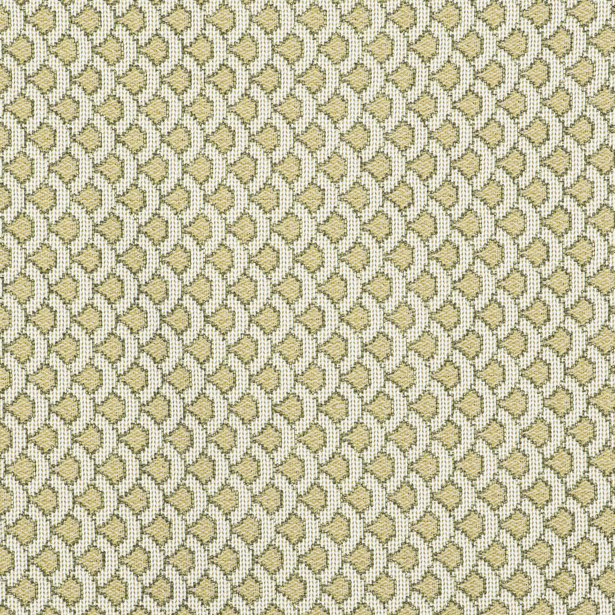 Ondas fabric in verde color - pattern GDT5511.003.0 - by Gaston y Daniela in the Gaston Libreria collection