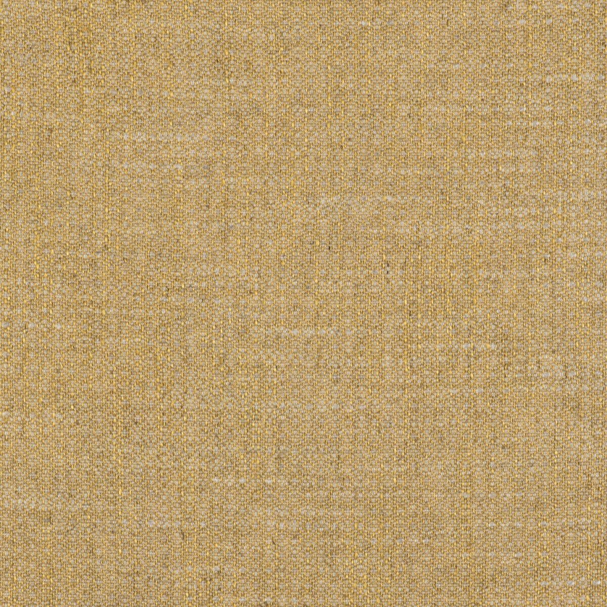 Semilla fabric in oro color - pattern GDT5517.005.0 - by Gaston y Daniela in the Gaston Libreria collection