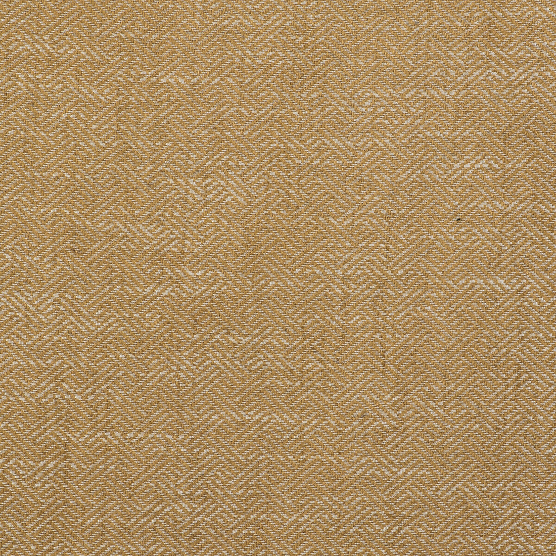 Enea fabric in oro color - pattern GDT5518.005.0 - by Gaston y Daniela in the Gaston Libreria collection