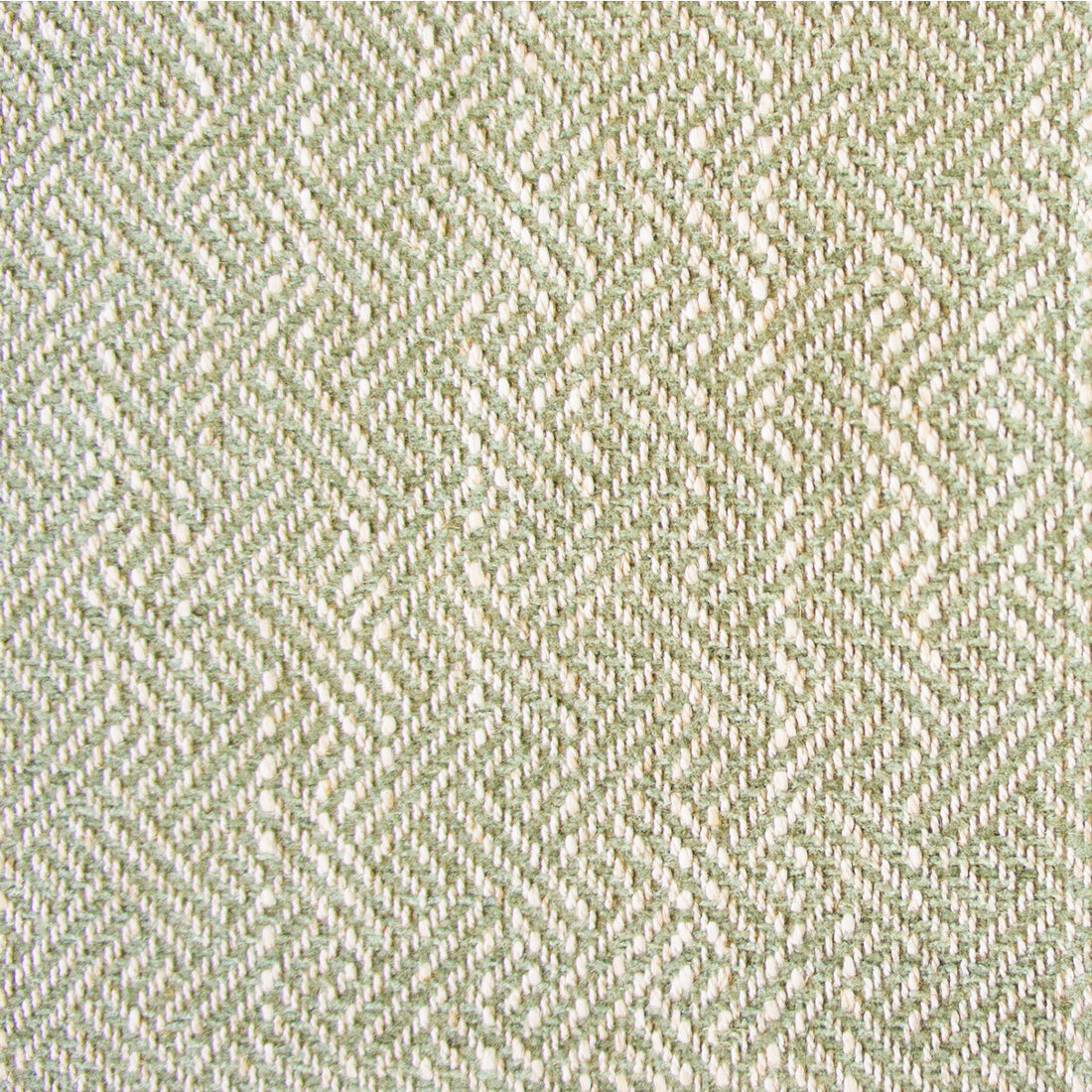 Enea fabric in verde claro color - pattern GDT5518.006.0 - by Gaston y Daniela in the Gaston Libreria collection