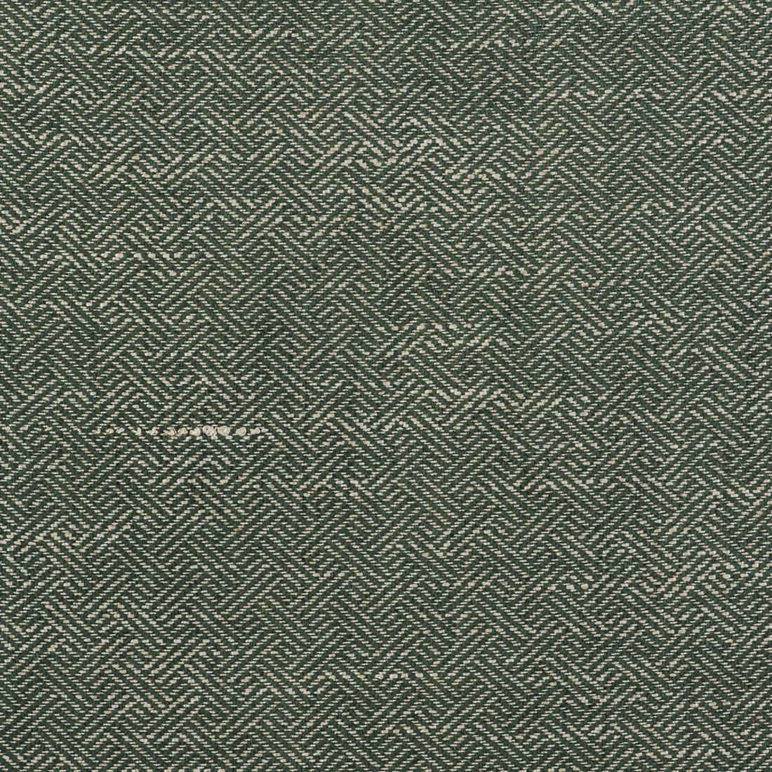 Enea fabric in verde color - pattern GDT5518.007.0 - by Gaston y Daniela in the Gaston Libreria collection