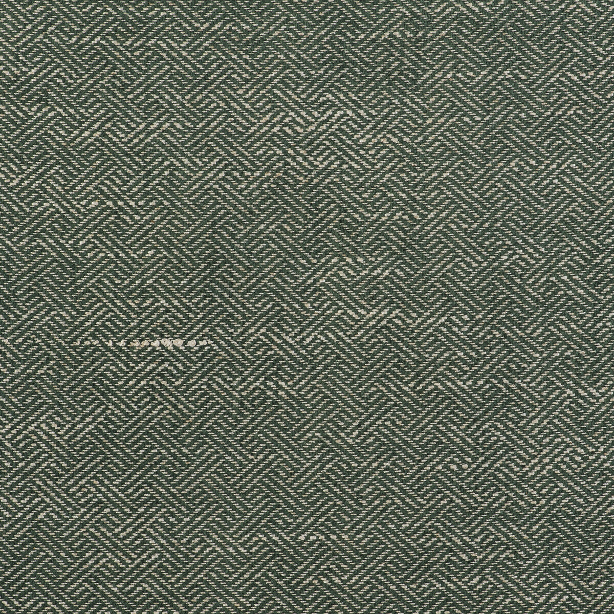 Enea fabric in verde color - pattern GDT5518.007.0 - by Gaston y Daniela in the Gaston Libreria collection