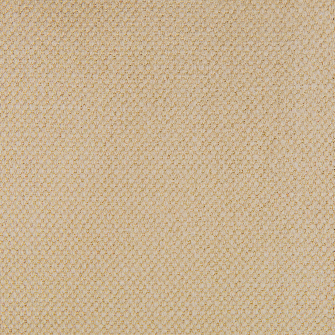 Lima fabric in beige color - pattern GDT5616.003.0 - by Gaston y Daniela in the Gaston Nuevo Mundo collection