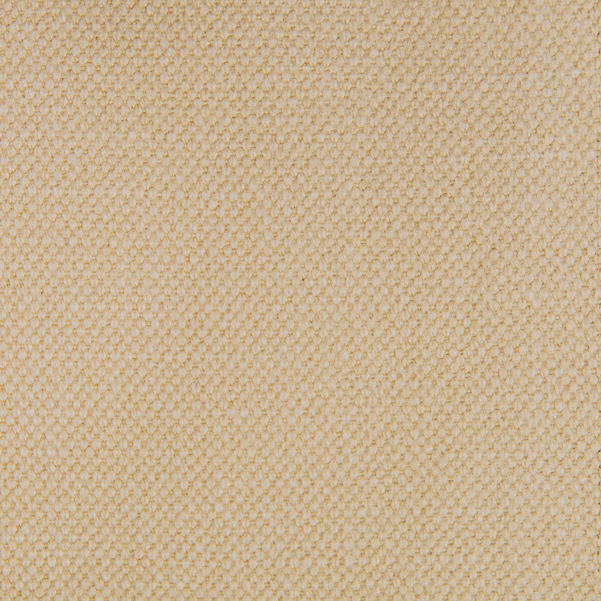 Lima fabric in beige color - pattern GDT5616.003.0 - by Gaston y Daniela in the Gaston Nuevo Mundo collection