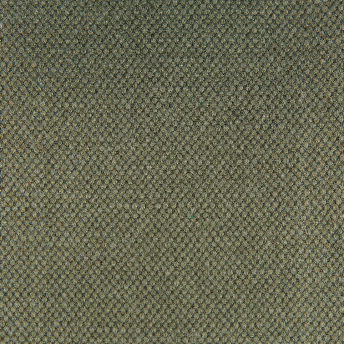 Lima fabric in kaki color - pattern GDT5616.031.0 - by Gaston y Daniela in the Gaston Nuevo Mundo collection