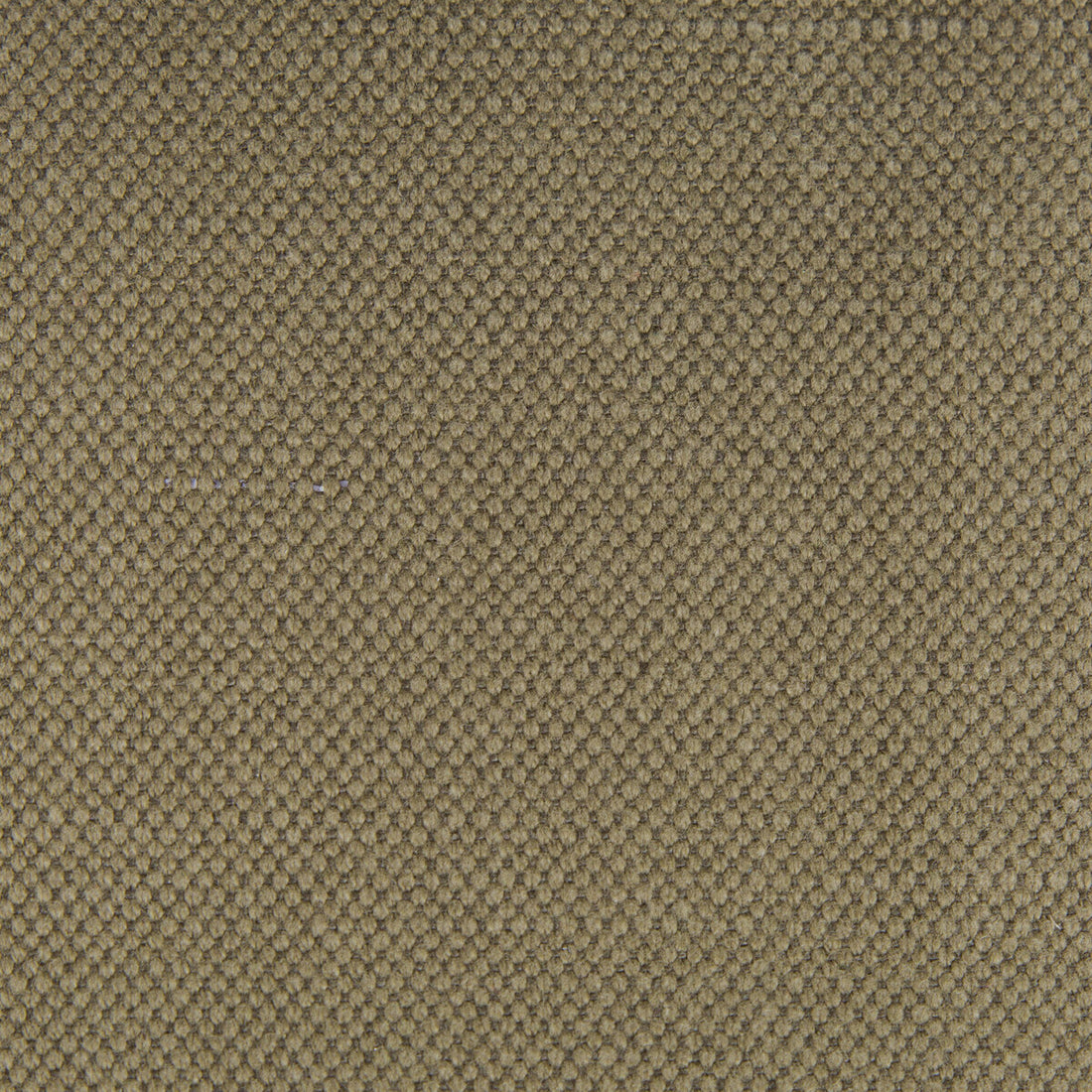 Lima fabric in verde color - pattern GDT5616.036.0 - by Gaston y Daniela in the Gaston Nuevo Mundo collection