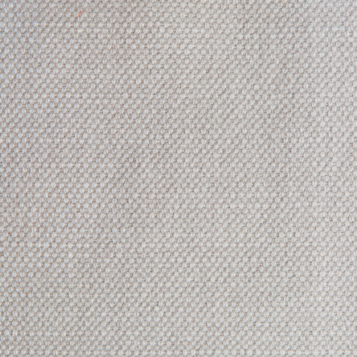 Lima fabric in gris color - pattern GDT5616.041.0 - by Gaston y Daniela in the Gaston Nuevo Mundo collection