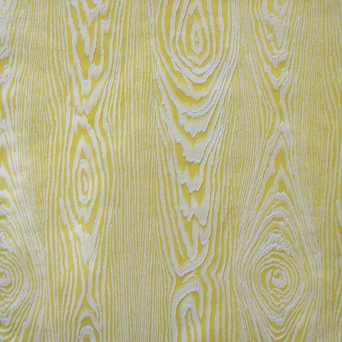 Haru fabric in amarillo color - pattern GDT5630.002.0 - by Gaston y Daniela in the Gaston Japon collection