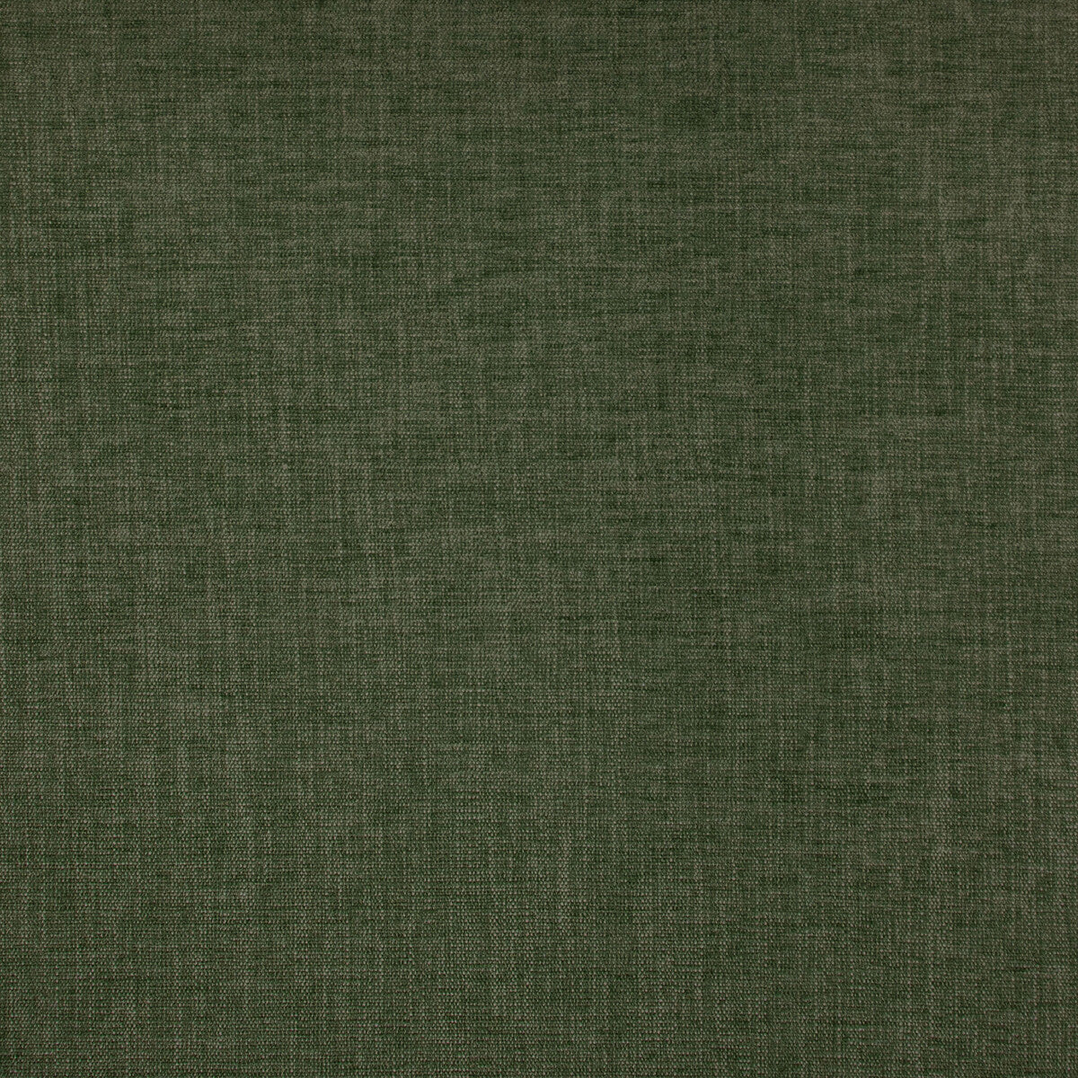 Moro fabric in verde color - pattern GDT5670.009.0 - by Gaston y Daniela in the Gaston Maiorica collection
