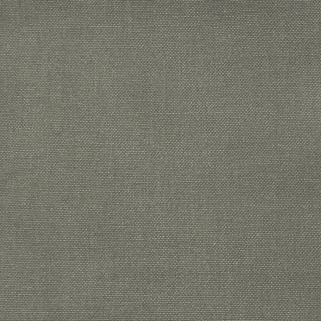 Palma fabric in gris color - pattern GDT5688.077.0 - by Gaston y Daniela in the Gaston Maiorica collection