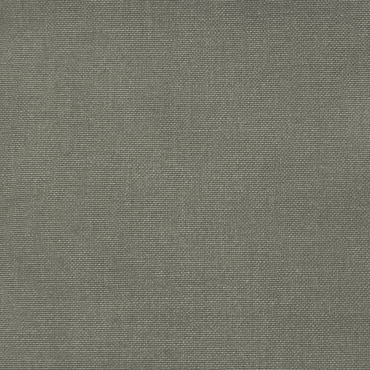 Palma fabric in gris color - pattern GDT5688.077.0 - by Gaston y Daniela in the Gaston Maiorica collection