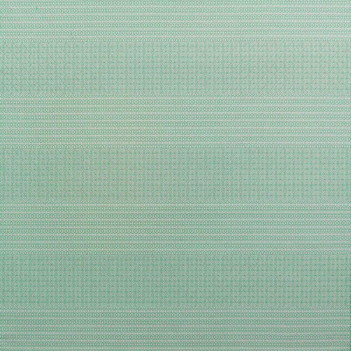 Kailas fabric in verde color - pattern number GDT5697.001.0 - by Gaston y Daniela in the Gaston y Daniela Marco Polo Indoor/Outdoor collection