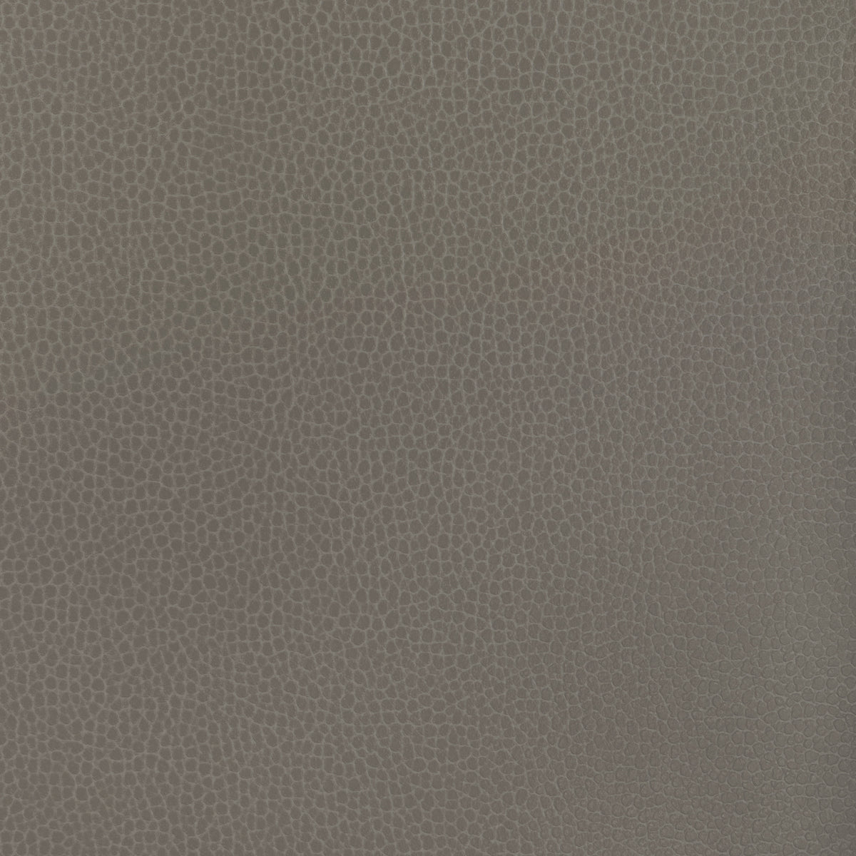 Gillian fabric in 121 color - pattern number Gillian.121.0 - by Kravet Contract in the Ultraleather VI collection