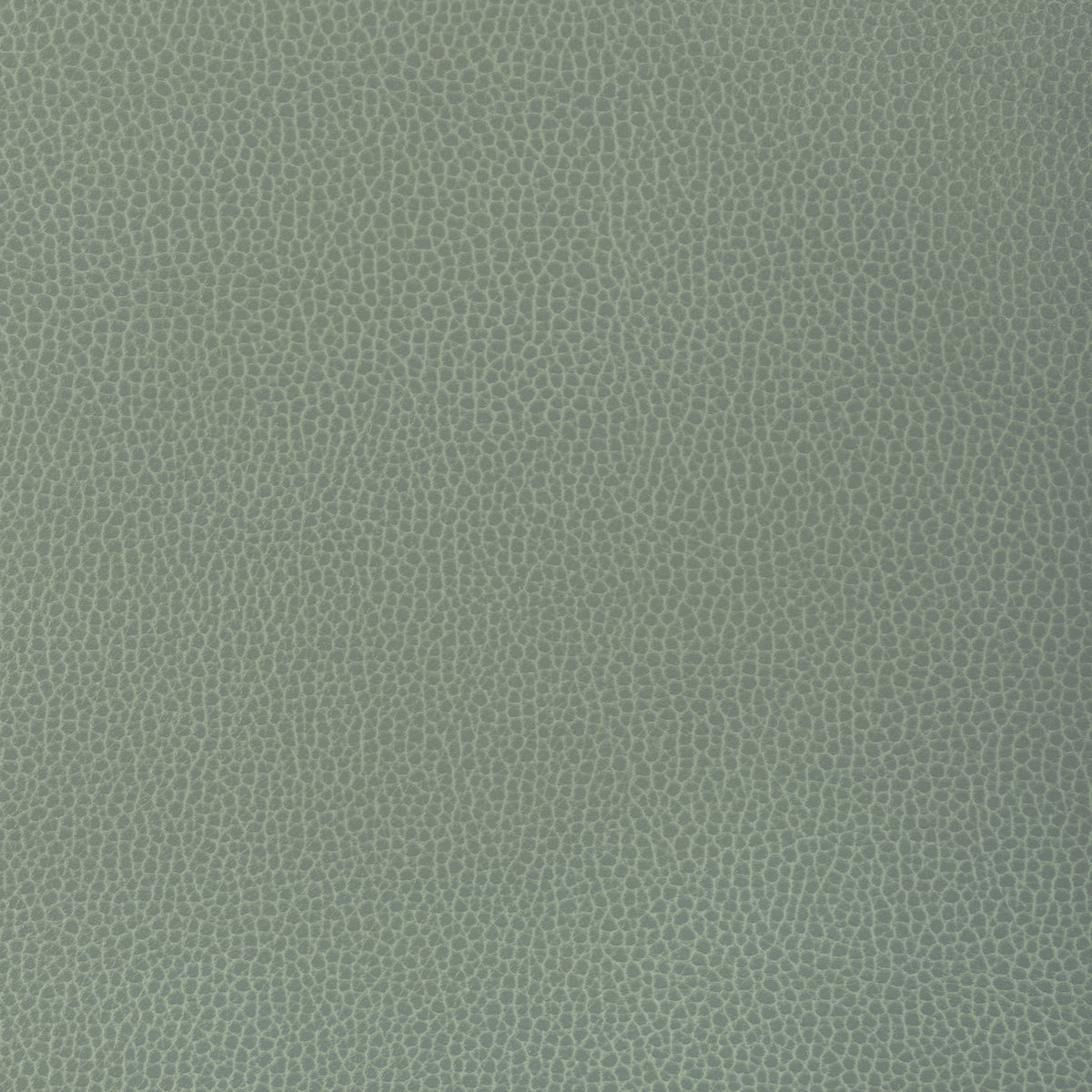 Gillian fabric in 1313 color - pattern number Gillian.1313.0 - by Kravet Contract in the Ultraleather VI collection