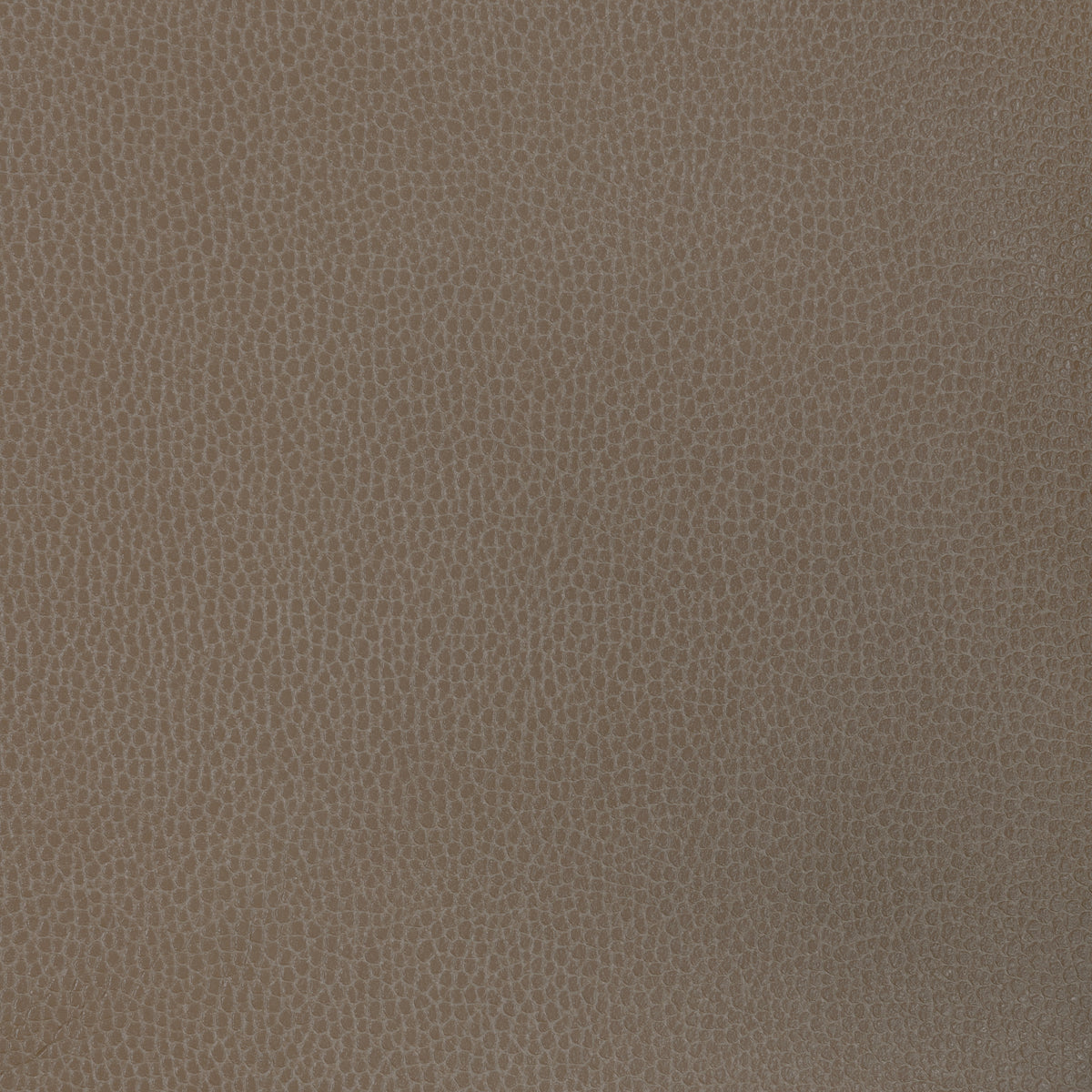 Gillian fabric in 1611 color - pattern number Gillian.1611.0 - by Kravet Contract in the Ultraleather VI collection