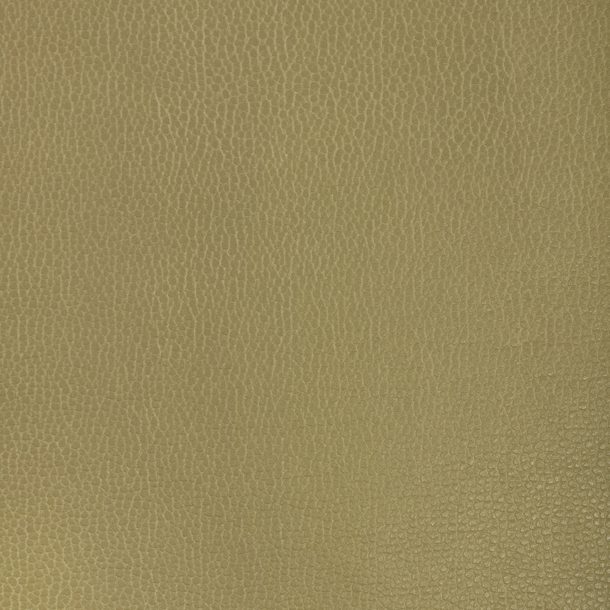 Gillian fabric in 23 color - pattern number Gillian.23.0 - by Kravet Contract in the Ultraleather VI collection