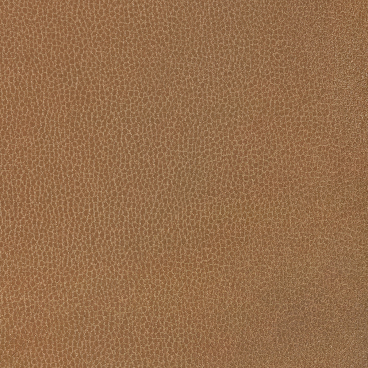 Gillian fabric in 6116 color - pattern number Gillian.6116.0 - by Kravet Contract in the Ultraleather VI collection