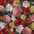 Ginny fabric in 48 color - pattern number Ginny48J9011 - by JF Fabrics in the Charmed collection