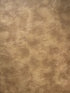 Elkhorn fabric in fawn color - pattern number GU 44391069 - by Scalamandre in the Old World Weavers collection