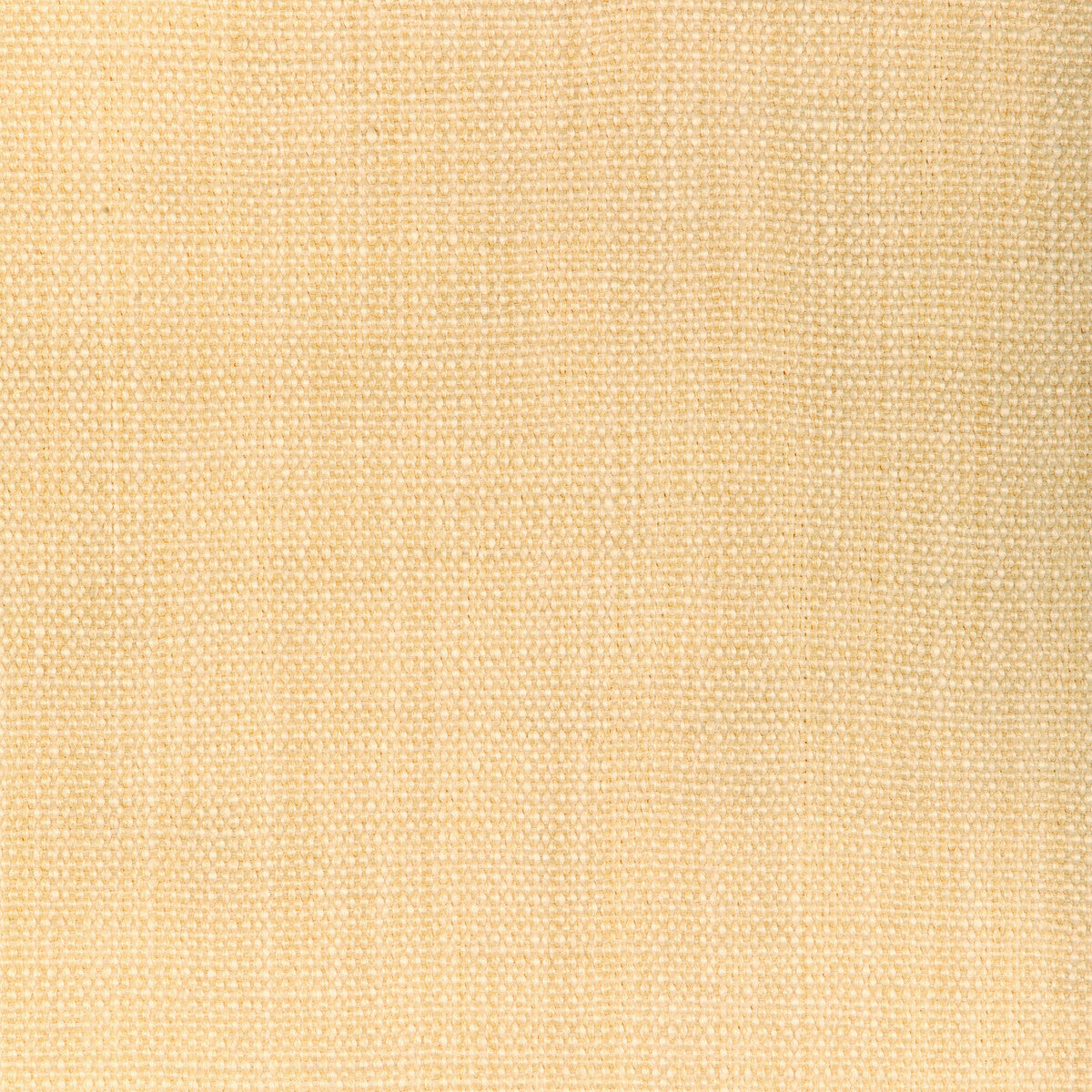 Prairie Texture fabric in ivory color - pattern number GWF-3815.1.0 - by Lee Jofa Modern in the Cadence collection