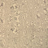 Atlas fabric in stone color - pattern number GWF-3834.11.0 - by Lee Jofa Modern in the Kelly Wearstler Transit collection