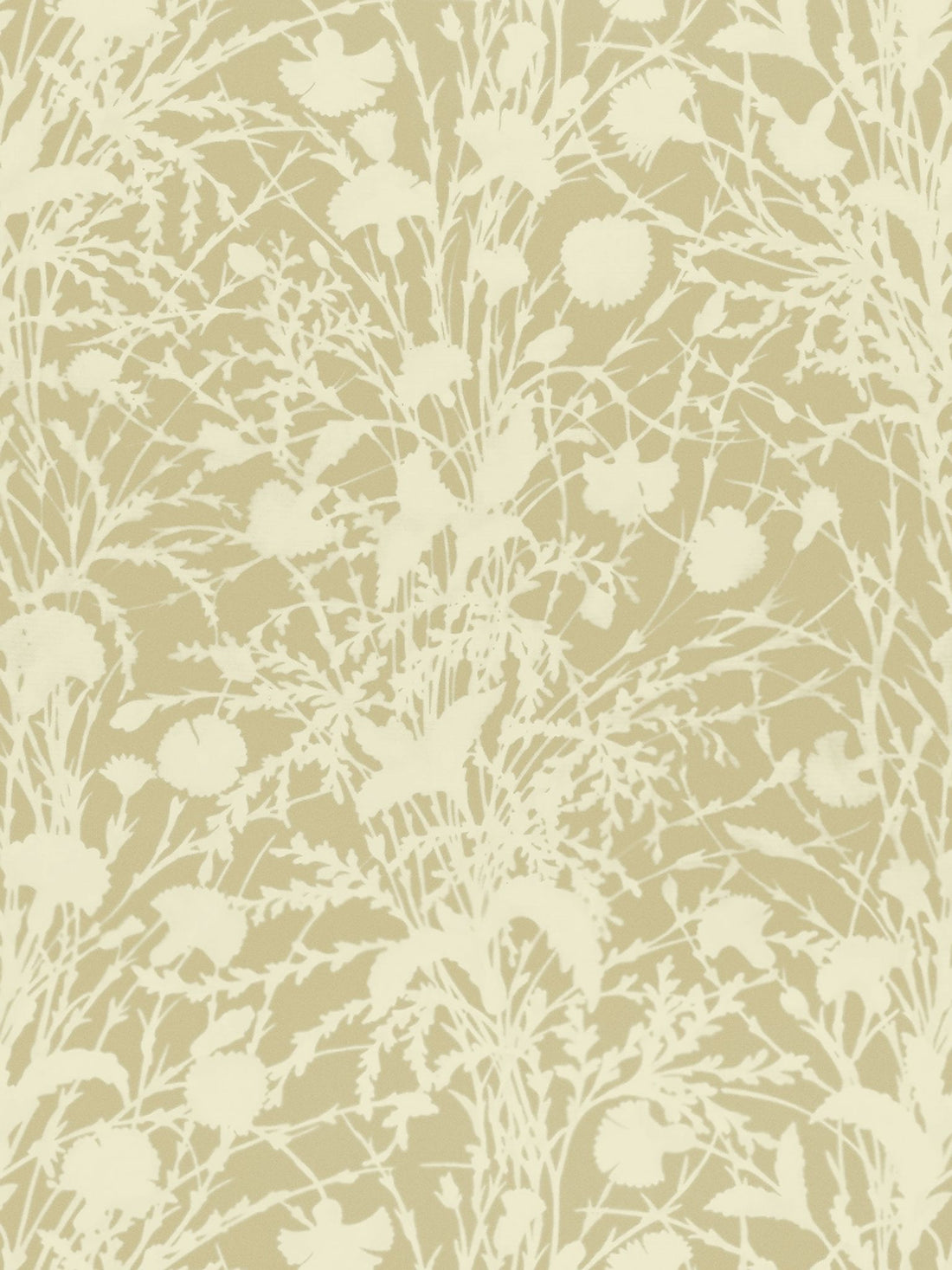 Wildflower fabric in oat color - pattern number GW 000116623 - by Scalamandre in the Grey Watkins collection
