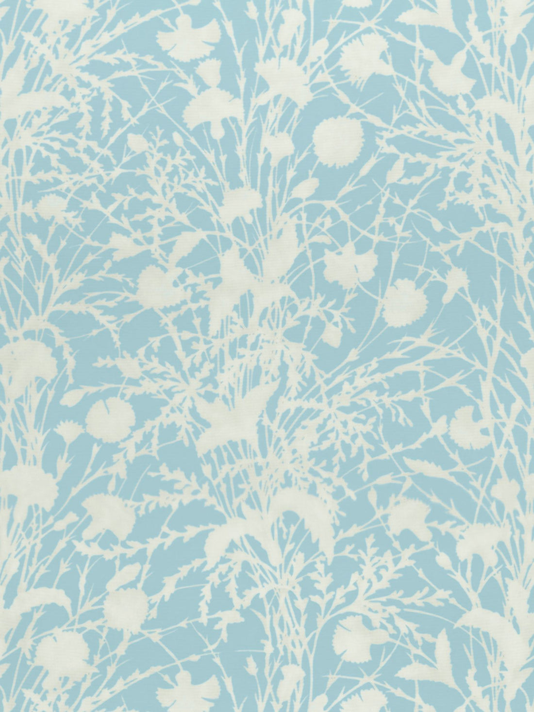Wildflower fabric in morning sky color - pattern number GW 000216623 - by Scalamandre in the Grey Watkins collection